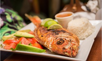 Red Snapper Fry