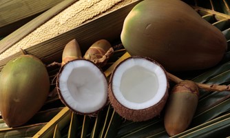 Coconut Halwa